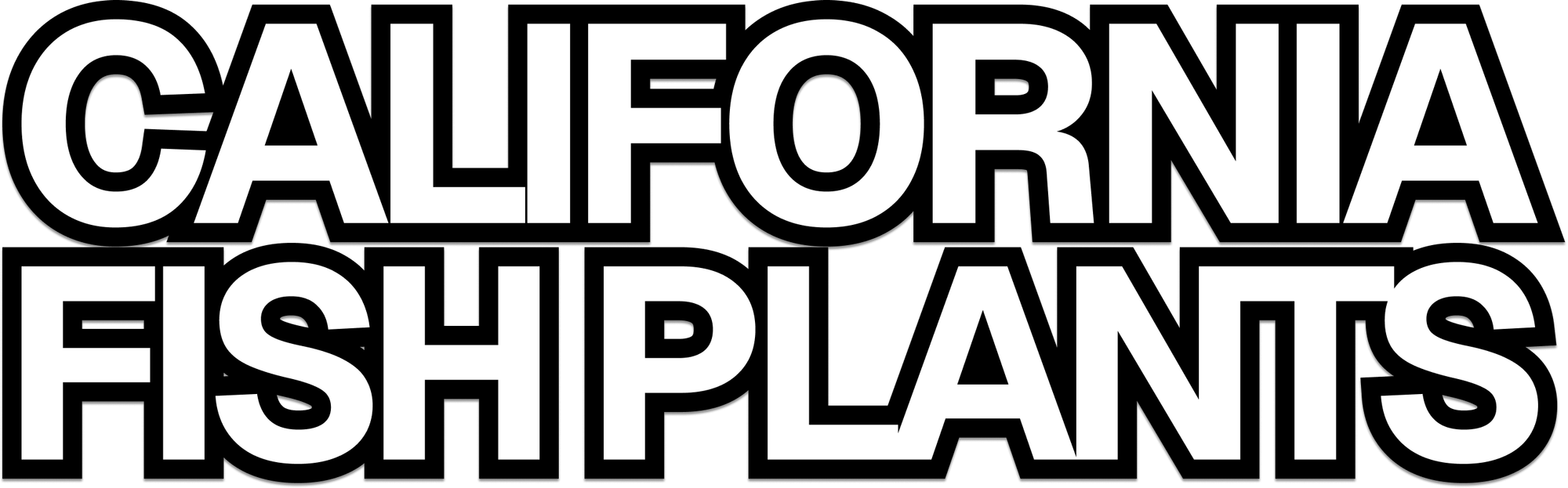 Fish Sniffer Fishing Reports