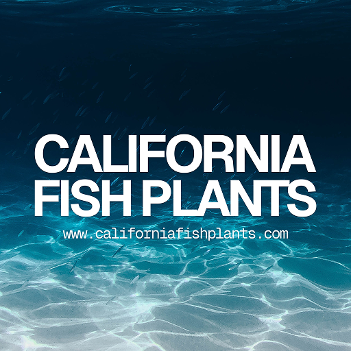 Fish Sniffer Fishing Reports